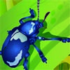Beetle vector illustration for art school assignment