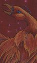 Light as a Golden Feather
