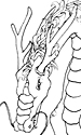 Seiryuu - Lineart